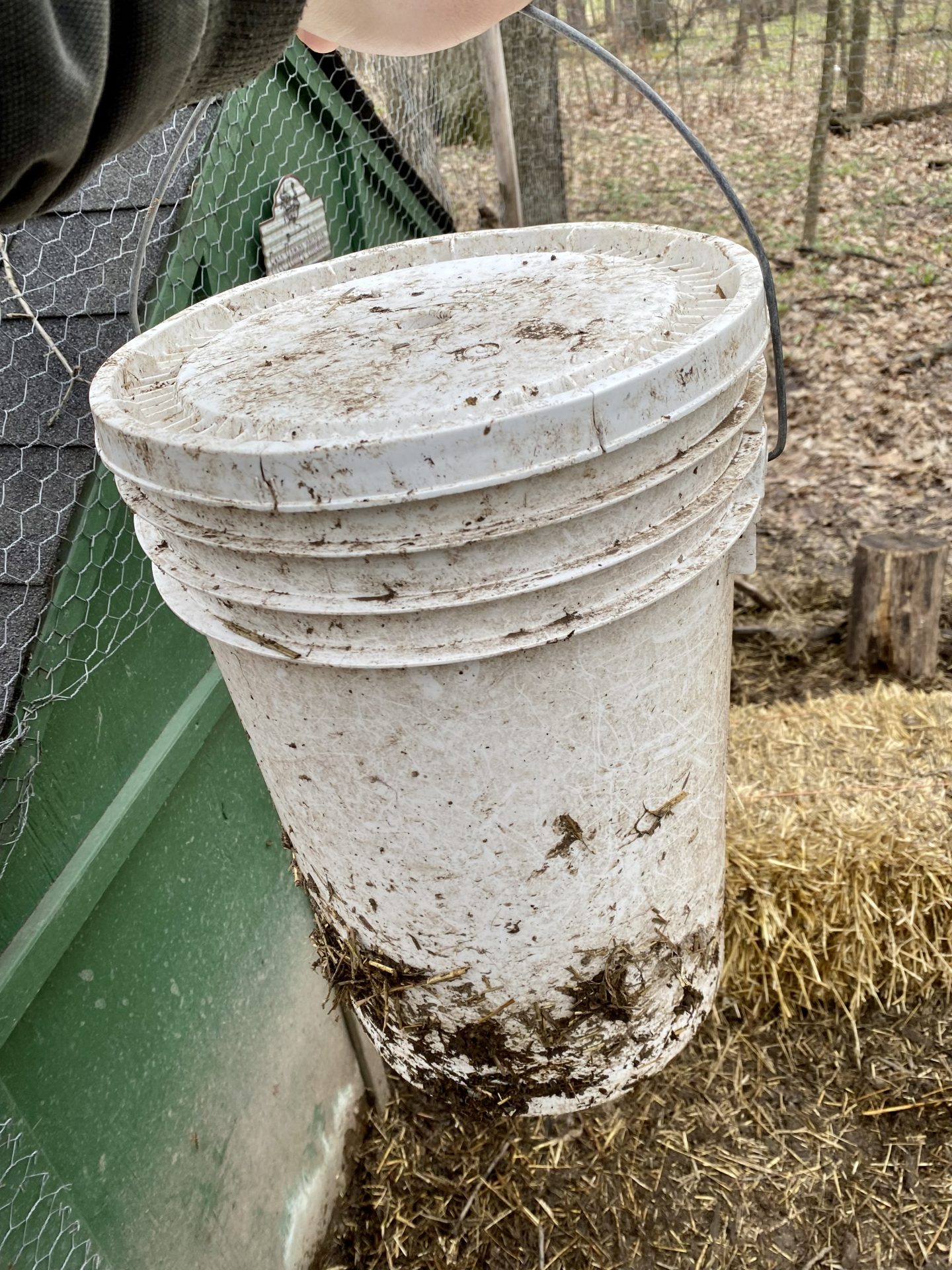 How to Store Chicken Feed Properly Heirloom Grown