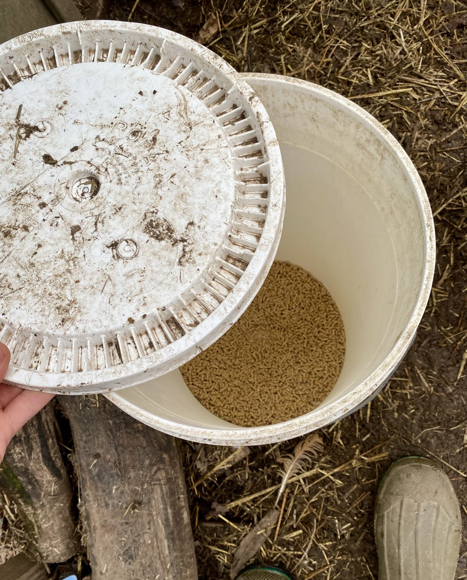 How to Store Chicken Feed Properly Heirloom Grown