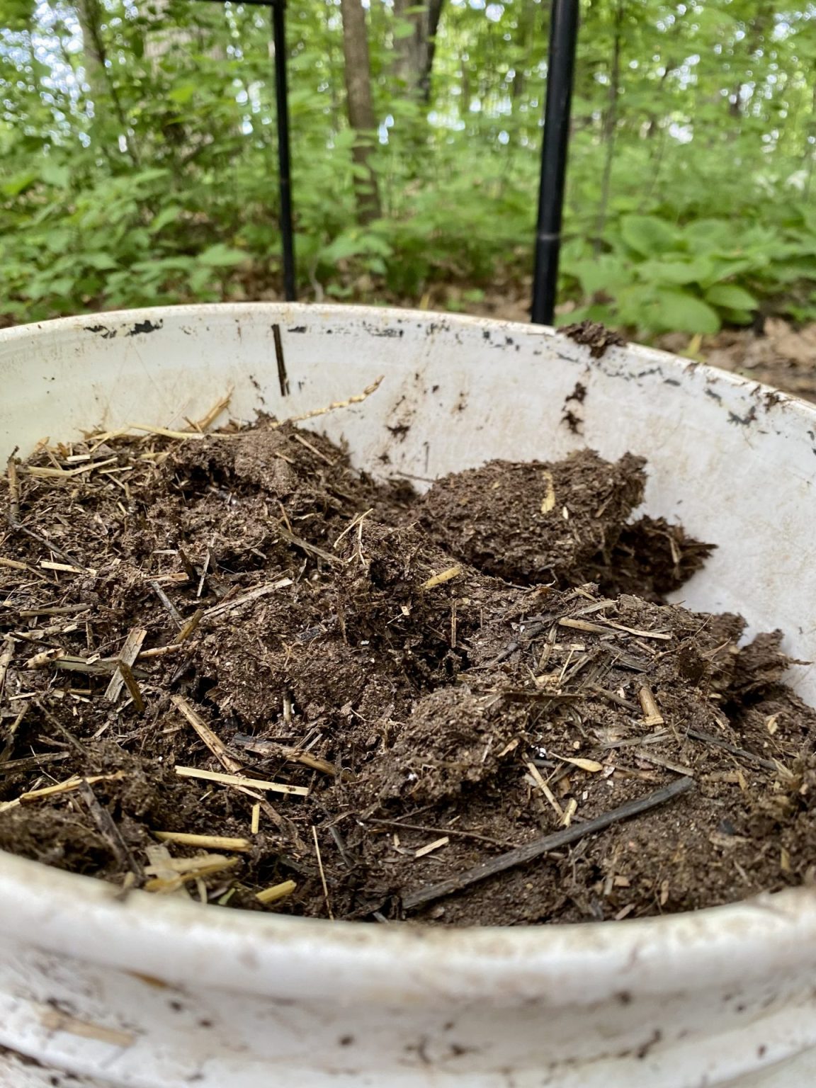 Best Organic Fertilizers for Gardening Heirloom Grown