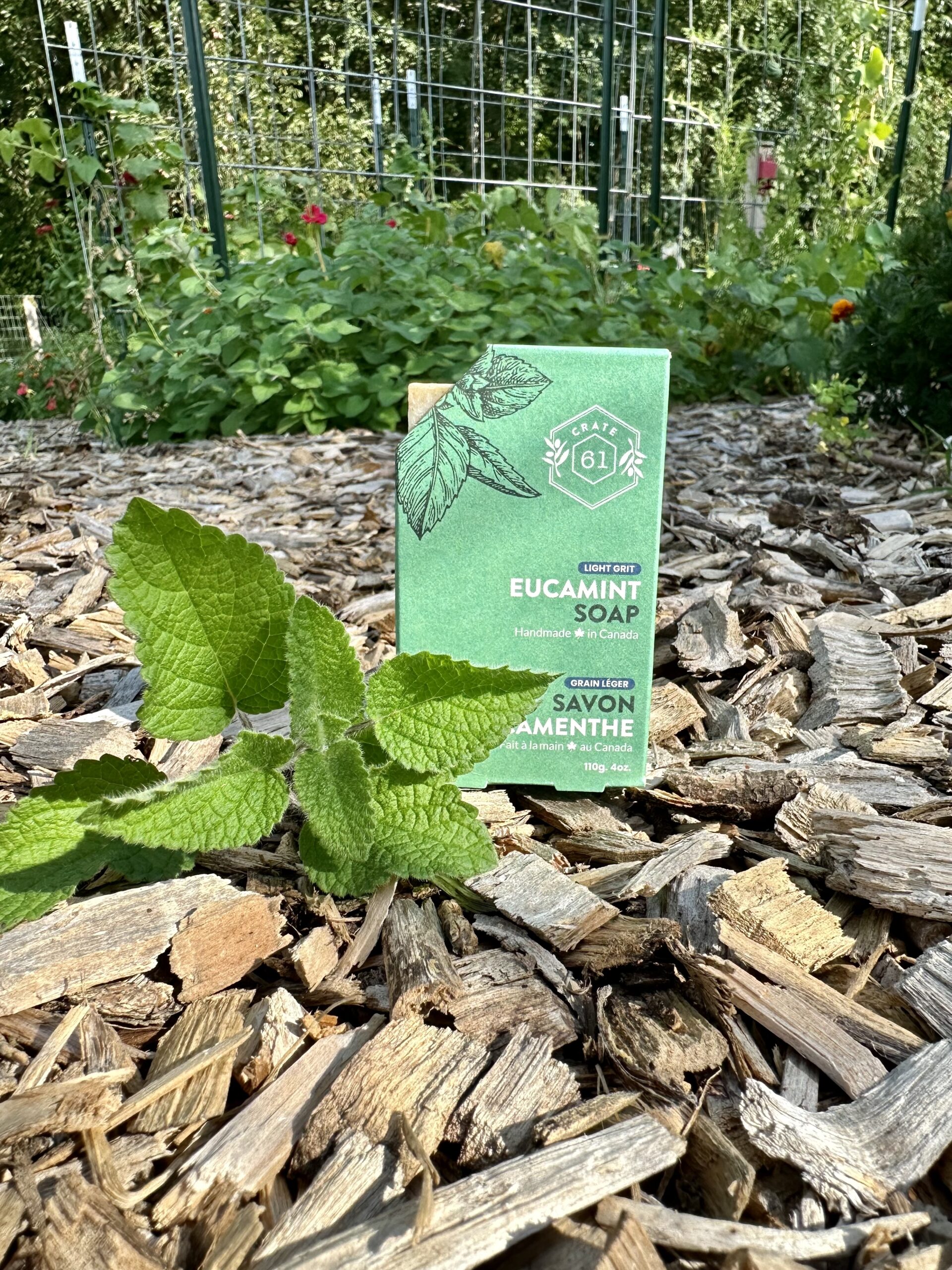 crate 61 eucamint soap