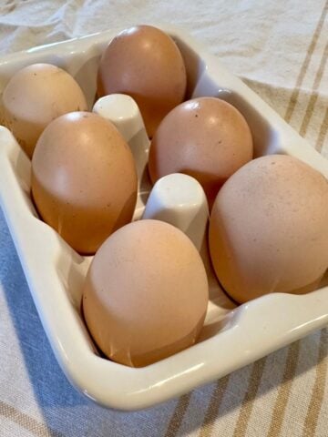 Gifts for people who love chickens