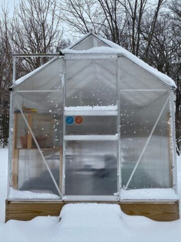 Affordable Ways to Heat a Hobby Greenhouse