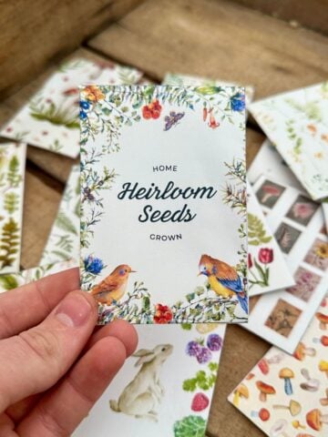 Free Printable Seed Packets