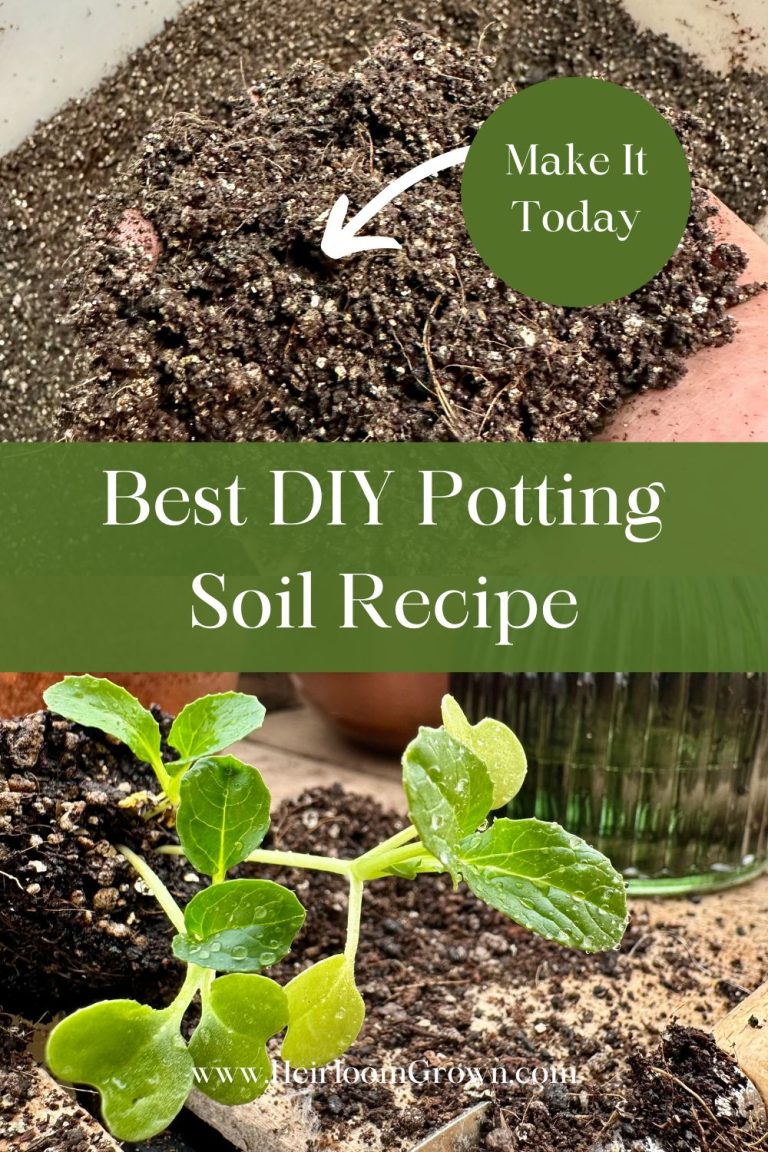 Best DIY Potting Soil Mix For Seedlings - Heirloom Grown