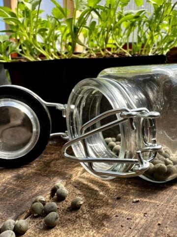 How To Get Free Heirloom Seeds