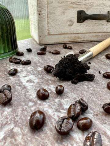 What Plants Don't Like Coffee Grounds