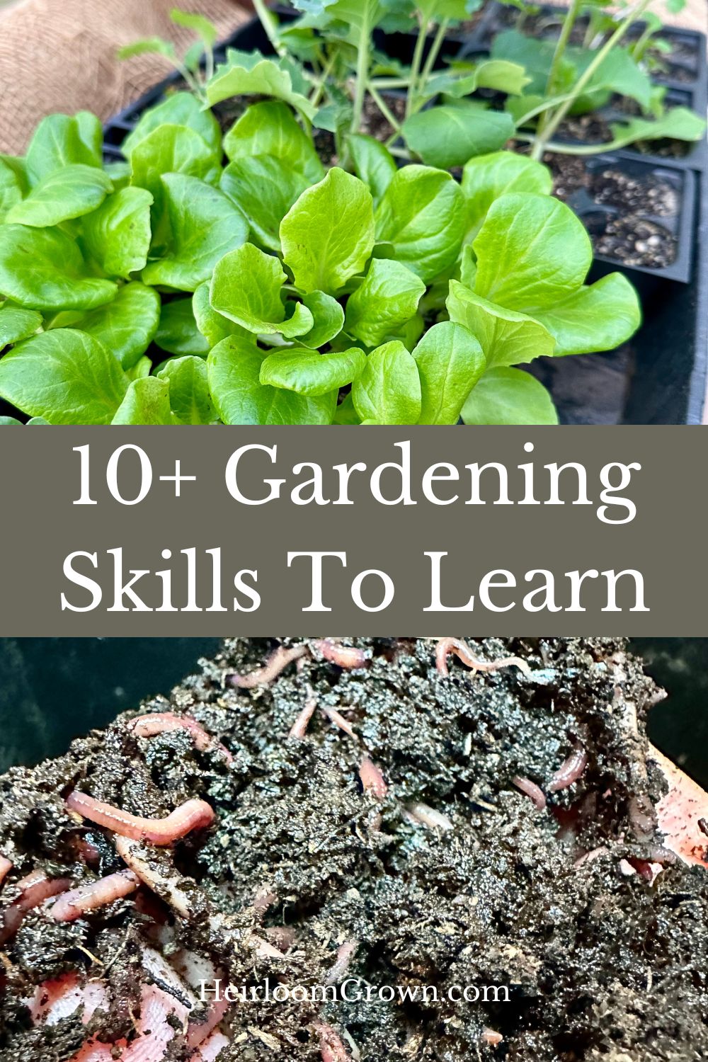 Photo inspiration: 10 Gardening Skills To Learn Photo Inspiration