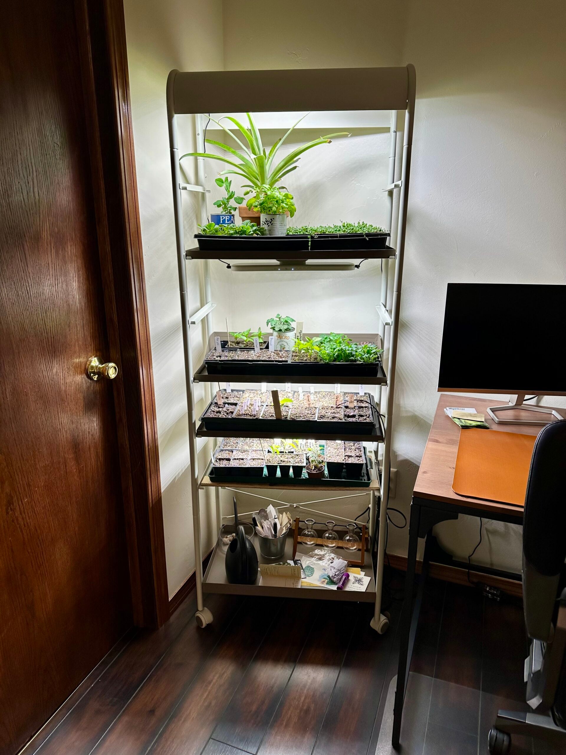 Vego grow light shelf for plants