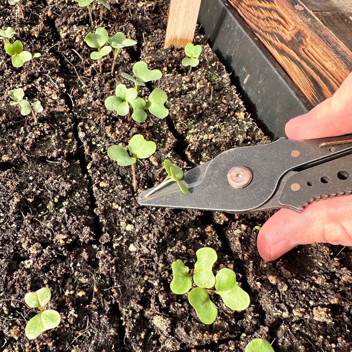 Tools and prep