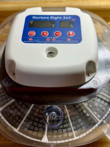 Nurture Right 360 Incubator Review