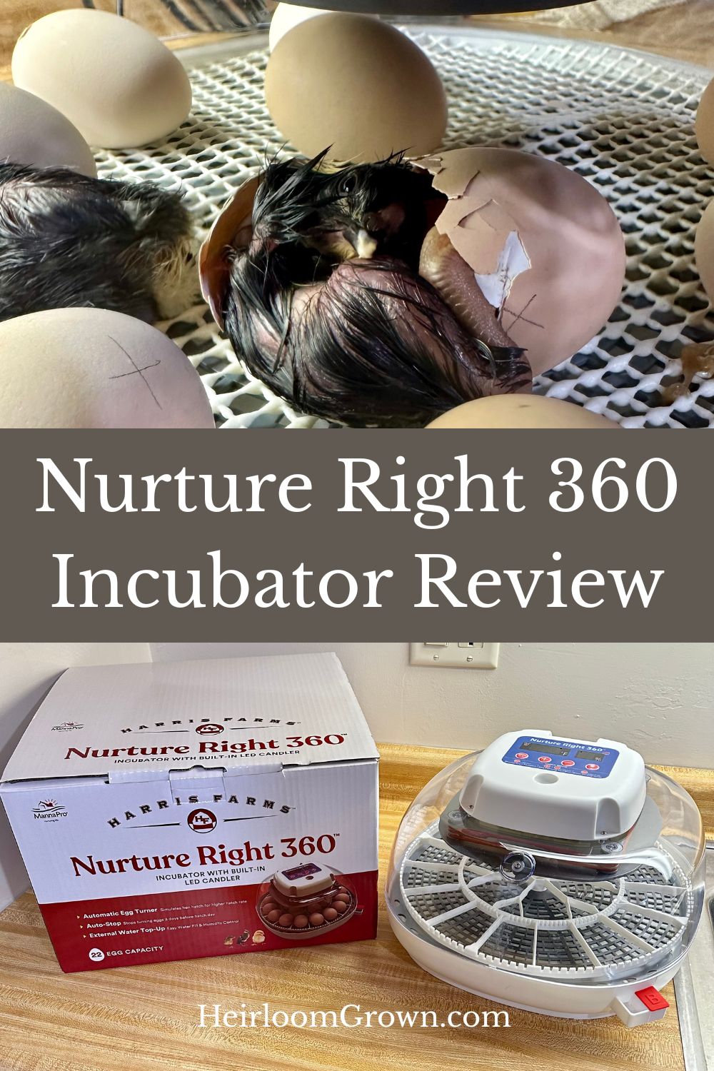 Harris farms incubator review