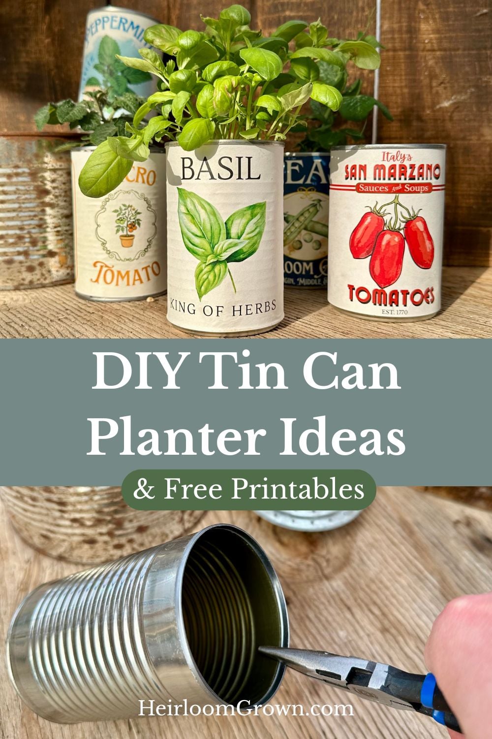 DIY tin can planter ideas pin.