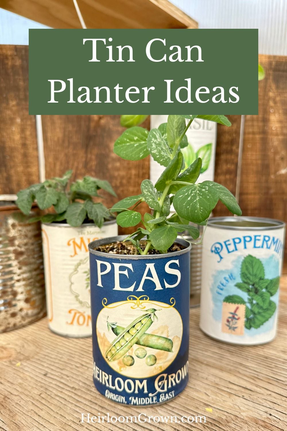 Tin can planter ideas pin