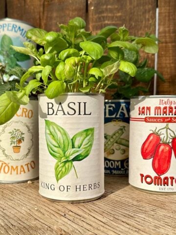 Tin can planter ideas