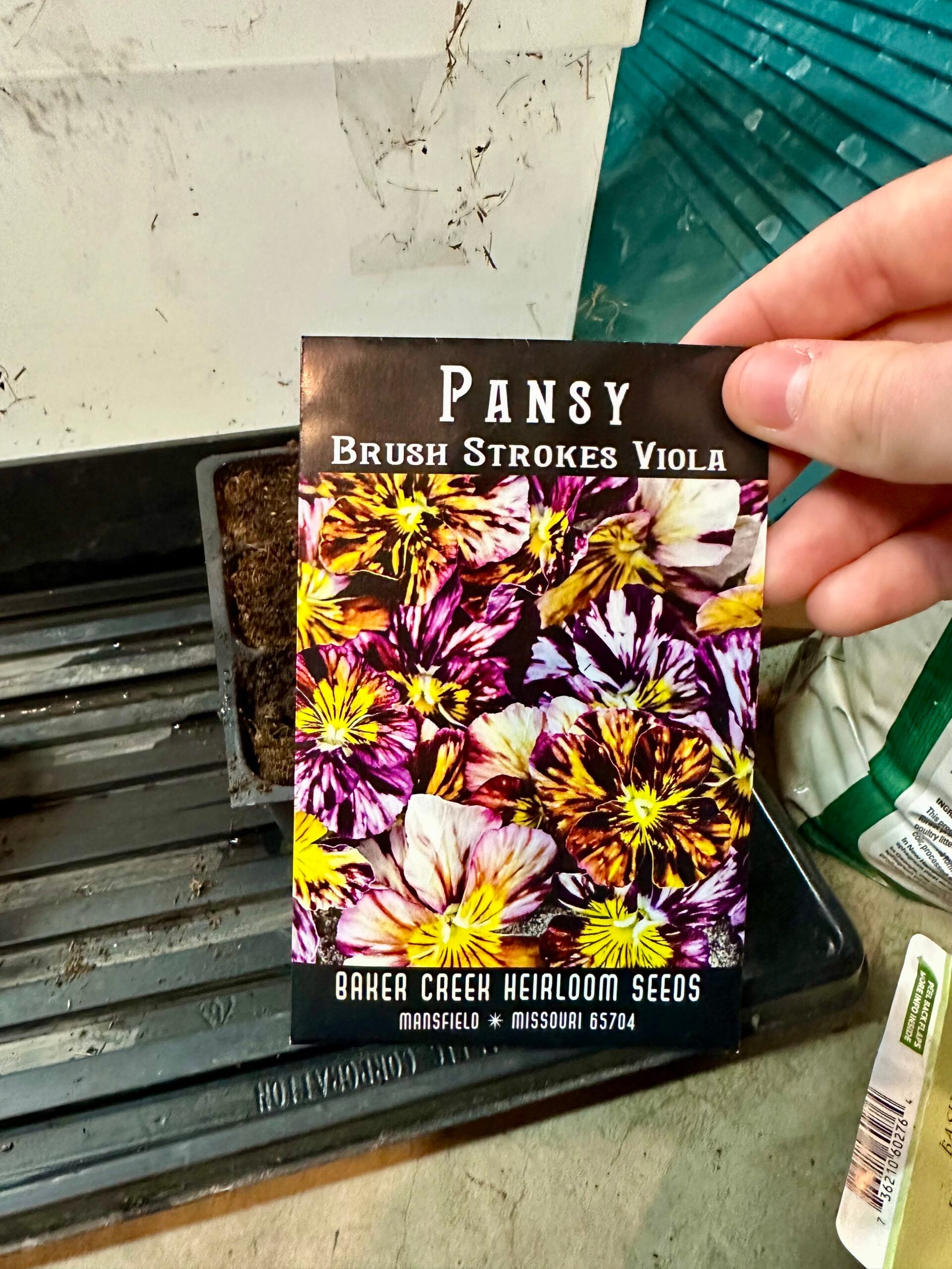 Brush storkes pansy seed packet