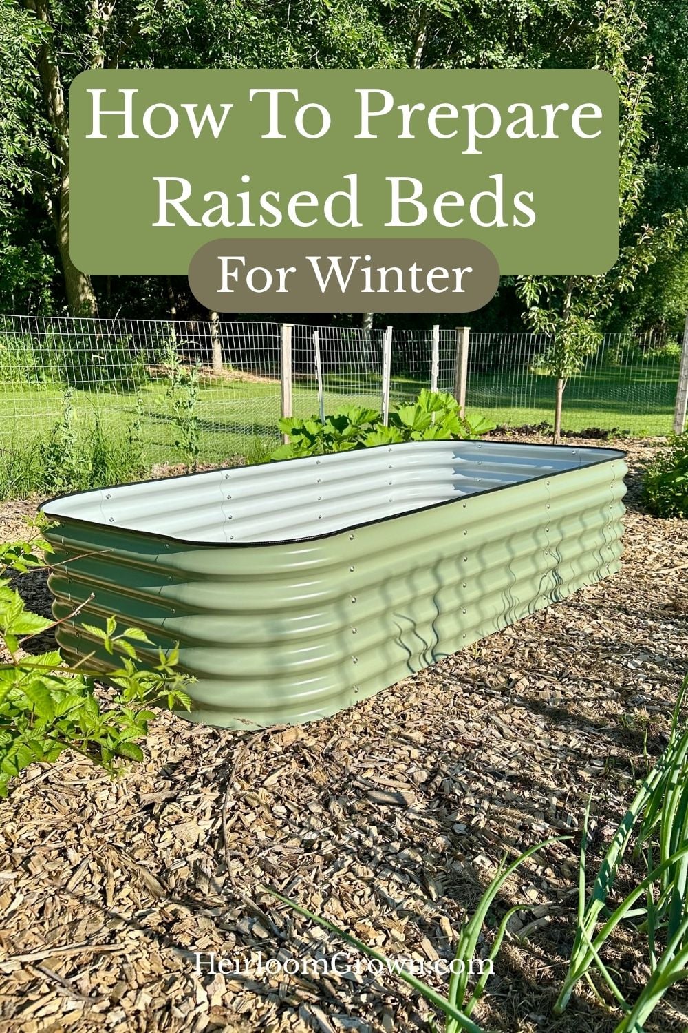 How to prepare raised beds for winter pin