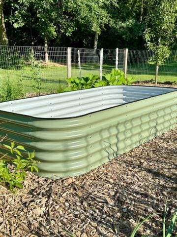How to prepare a raised bed for winter